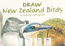 Draw New Zealand Birds - Book Cover