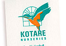 Kotare - Business Card